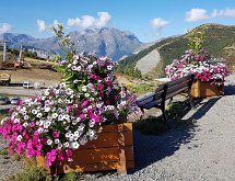 20180904 100719  Au dessus de l'Alpe