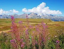 20180904 105159  Sur la route du lac Noir