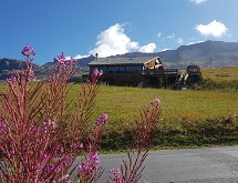 20180904 105311  Sur la route du lac Noir