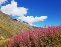 20180904 120445  Descente du col de Sarenne