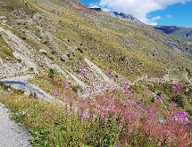 20180904 120716  Descente du col de Sarenne